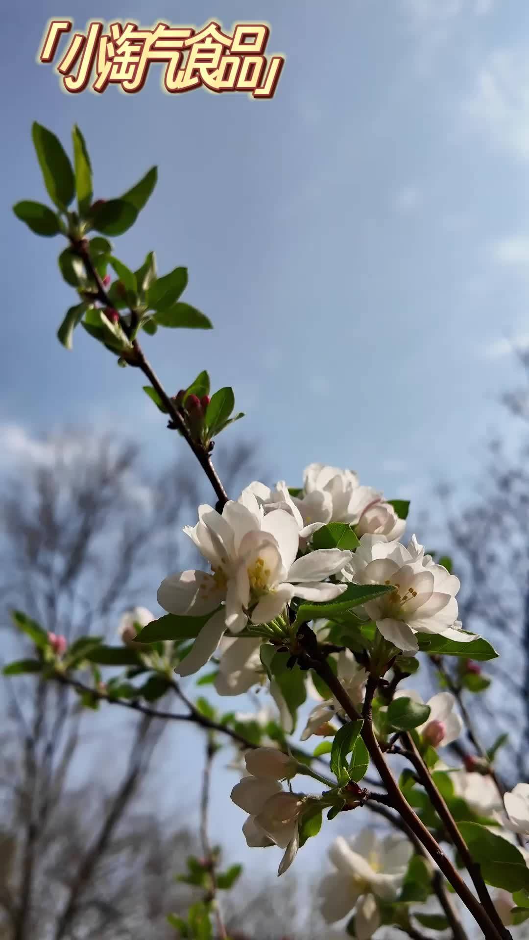 果然好吃的零食连小朋友都无法抗拒~#香酥玉米#米老虎香酥玉米