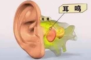 腰果的营养价值?