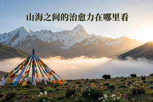 山海之间的治愈力在哪里看