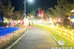 驻马店再添夜游新场景：森语·园境智趣园夜间项目启动