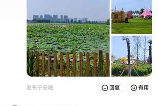 2026 官方实测:芜湖人气高的露营地真相大揭秘