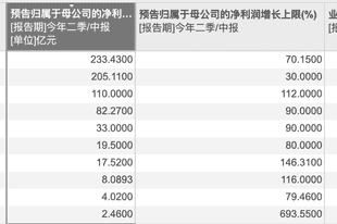 “牛市旗手”集体预增！7月获密集调研