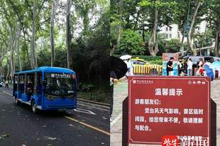 南京钟山风景区临时关闭并劝离进山游客