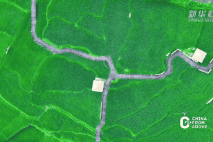 瞰中国|福建:青穗垂田 稻香漫野
