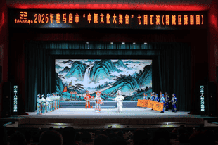驻马店市驿城区:好戏连台润民心 绘就文化惠民新图景