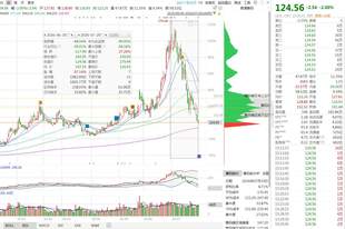 精准逃顶卖在高位!北京君正高管以233元均价减持完毕,股价随后暴跌超46%,现价124.56元近乎腰斩!