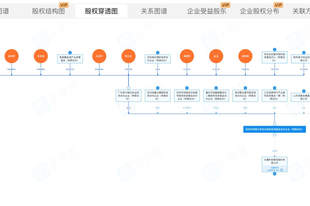 独家丨比亚迪李云飞:王传福个人没有直接投资长鑫科技