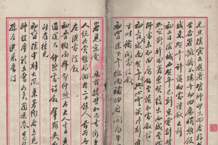 寻找陈解元：《某人日记》的作者之谜