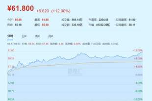 资金抢着买！股价破历史新高