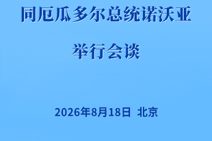 习近平同厄瓜多尔总统诺沃亚会谈