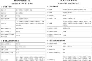 嘉合王东旋旗下产品增聘共管经理!十年投研老将在管规模仅0.32亿元