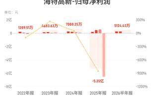 海特高新：上半年归母净利润5124.43万元，同比下降19.56%
