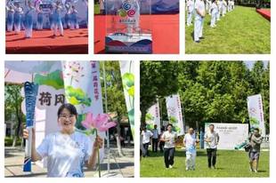 企业动态丨赏荷、美食、文创……泉水节暨首届济西湿地荷花节解锁夏日限定浪漫