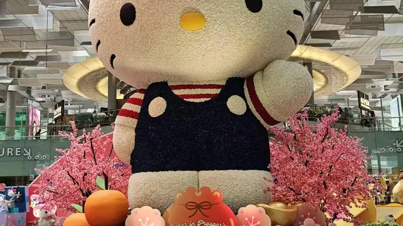 旺季大考：文化节游客在行程临时调整能力上的真实表现与行业反思
