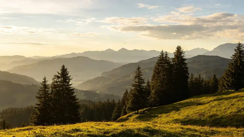 三五好友打卡老君山，金顶云海山间避暑徒步