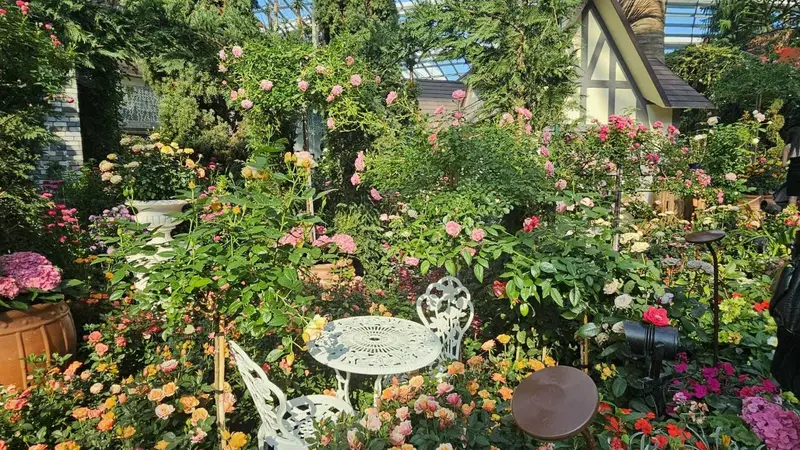 大型活动期间城市导览:游客点赞背后,节奏失控的隐忧