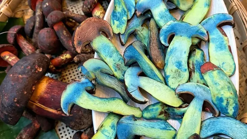 丽江古城特色美食推荐:避开景区预制菜坑,地道滇味挑选全指南