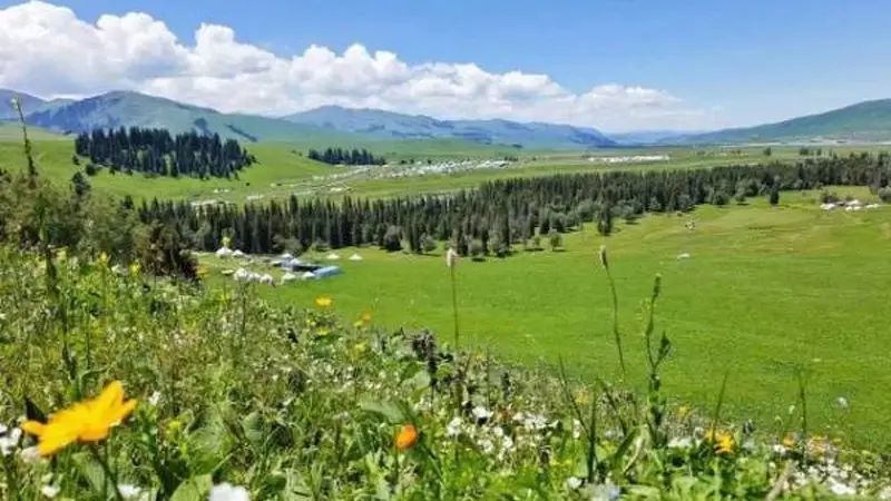 伊犁河谷旅行深度体验指南新编从草原湖泊到花海雪山涵盖交通住宿美食与四季活动完整版