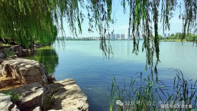 一不小心，撞入商丘日月湖景区的绿荫秘境