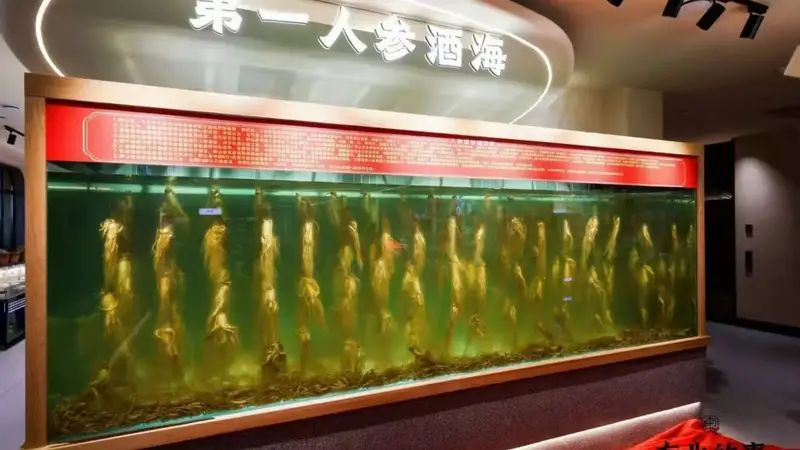 2026长春特色东北菜、吉菜及中餐宴请酒楼口碑排行