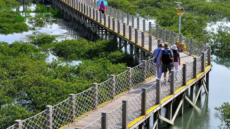 北海涠洲岛景区概况与客运信息说明