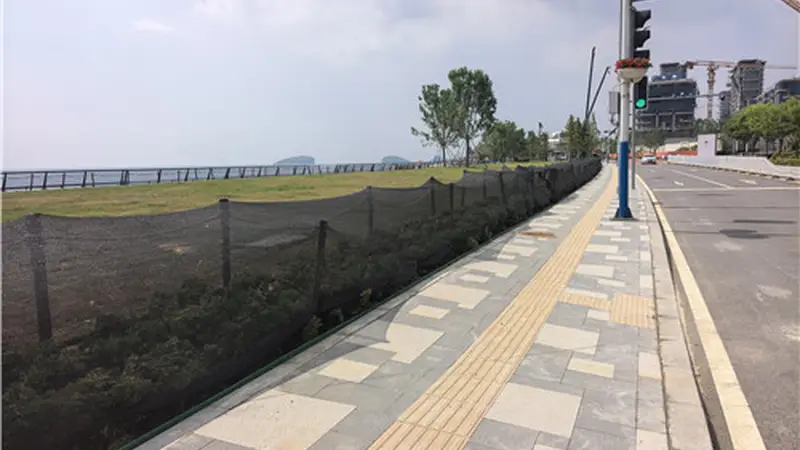《露营热灼伤雕塑公园南侧草坪》后续:草坪养护完毕,已恢复开放