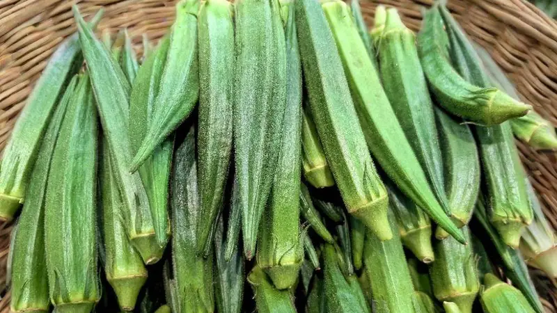 立秋后,提醒:少吃茄子豆角,多吃这4种黄金菜,不燥不疲,腿脚有力精神足,元气满满过秋天!