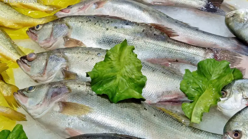 秋天吃鱼,提醒:少吃草鱼和鲢鱼,多吃这3种,肥美不腻,好吃不贵,懂行的人都在吃!