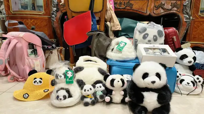 到大陆旅游很危险？看熊猫、吃火锅 一对台湾母女在四川打破“信息茧房”