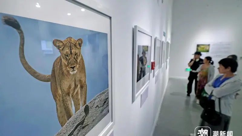 定格自然之美！国际野生生物摄影展亮相杭州