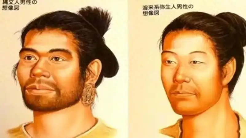 日本人破防了:DNA检测日本祖先被证实,日本人不是徐福后代