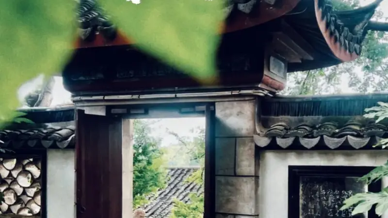 大暑 | 盛夏极致，静候清风