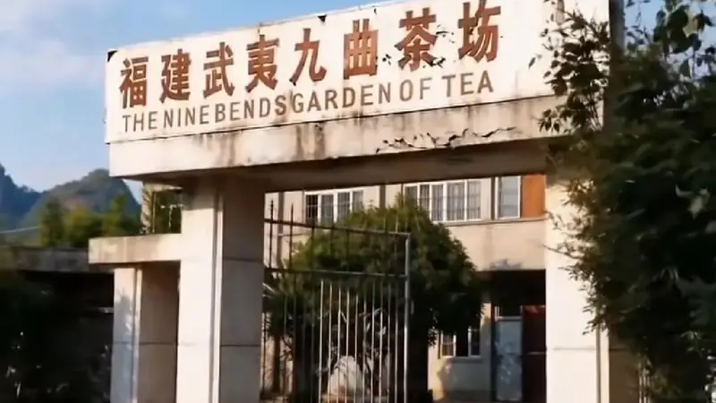 星村制茶先行者，书写武夷茶业改革史