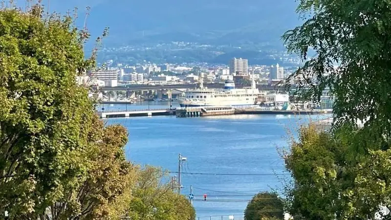 直飞,比海岛多一片花海,比花海多一座火山,轻松实现海鲜自由