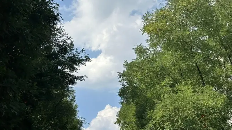 八月总是很好的