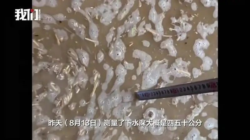 河南襄城一粮食收购处数吨小麦被洪水浸泡，多方回应