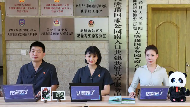 零破坏也被罚!驴友高频误区,法官一次性讲清楚