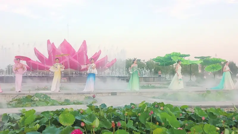荷香满龙湖 昼夜皆盛景——第五届周口荷花节暨文旅消费季掠影