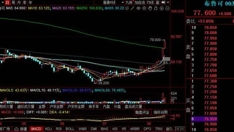 9.9元玩具爆卖,布鲁可半年收入17.8亿!海外狂飙228%,毛利率却创新低
