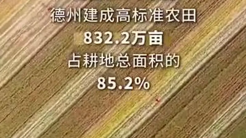 创意微视频｜点染山河色