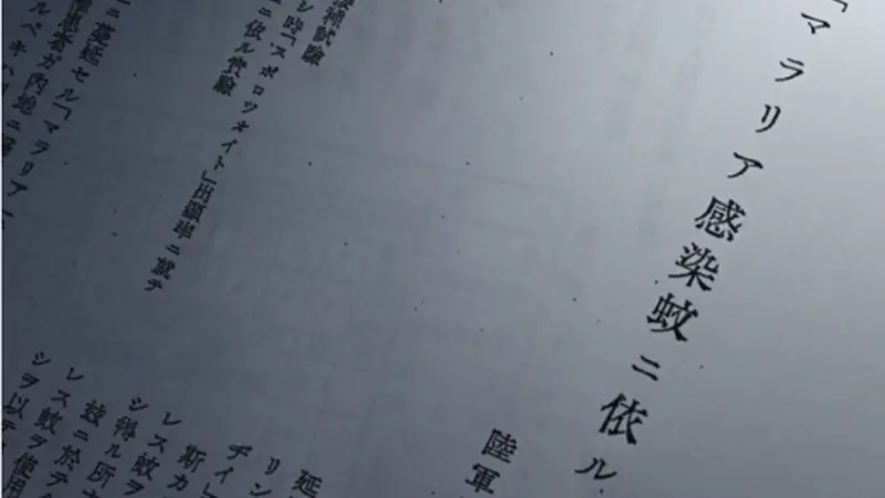 日媒爆日军“拿日本士兵做活体实验”，受试者被故意感染疟疾