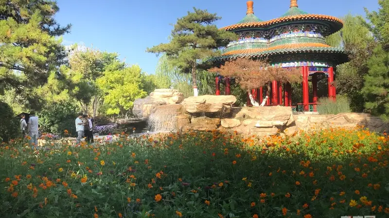 花海映亭阁 游园享风光