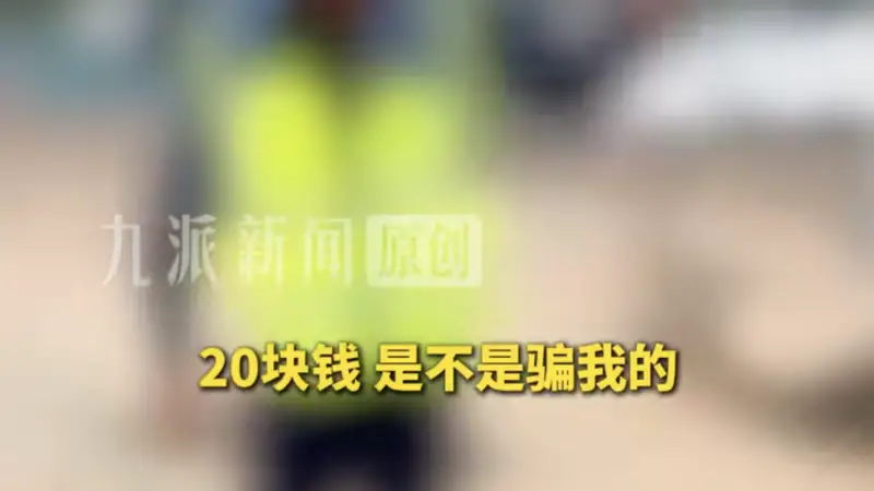 网友称万岁山景区旁现“李鬼”停车场:就在免费停车场对面,收费20元!当地管理部门回应