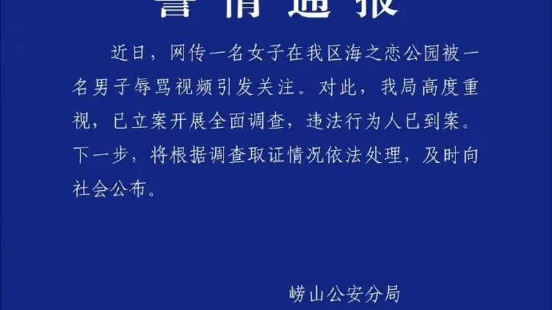 青岛一男子辱骂女游客，警方通报：违法行为人已到案