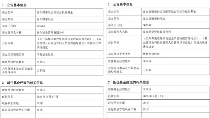 嘉合王东旋旗下产品增聘共管经理！十年投研老将在管规模仅0.32亿元