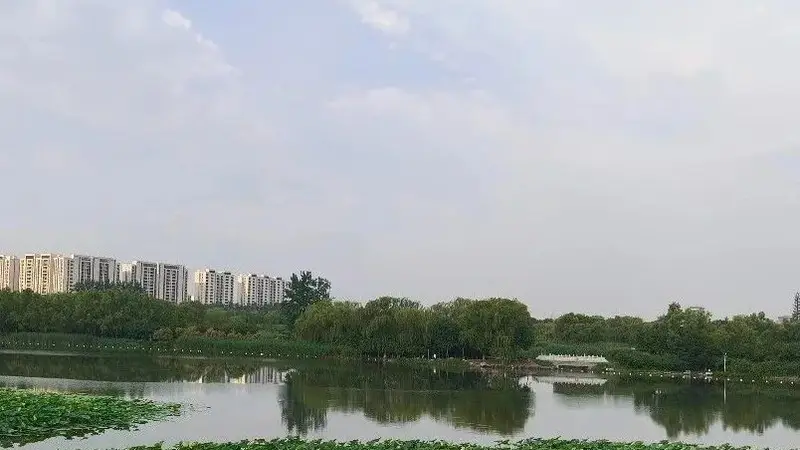 这份大兴City Walk宝藏清单,请查收——