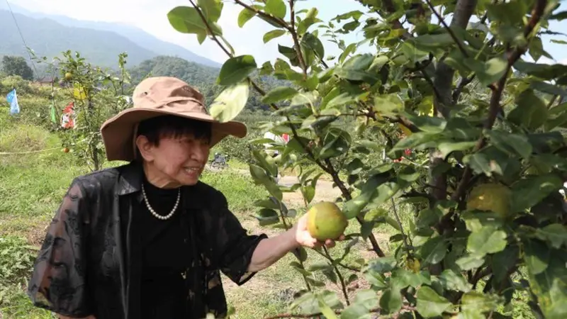 在荷塘“两岸”，他们回望诗的故土