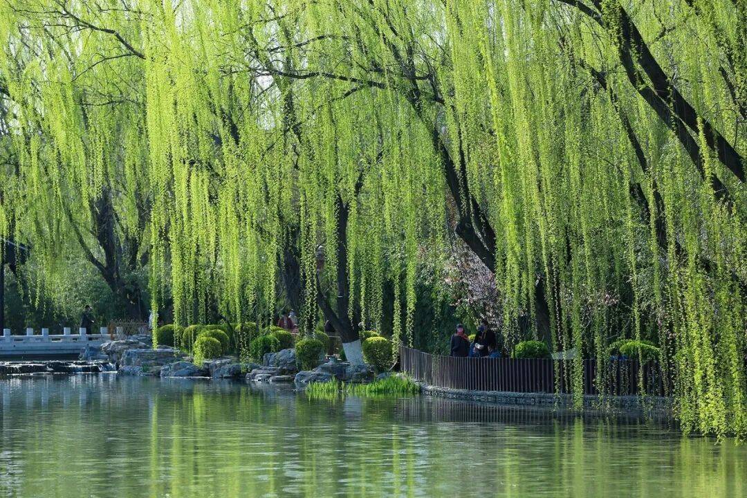 没有朋友圈的古人,怎么和同窗说再见
