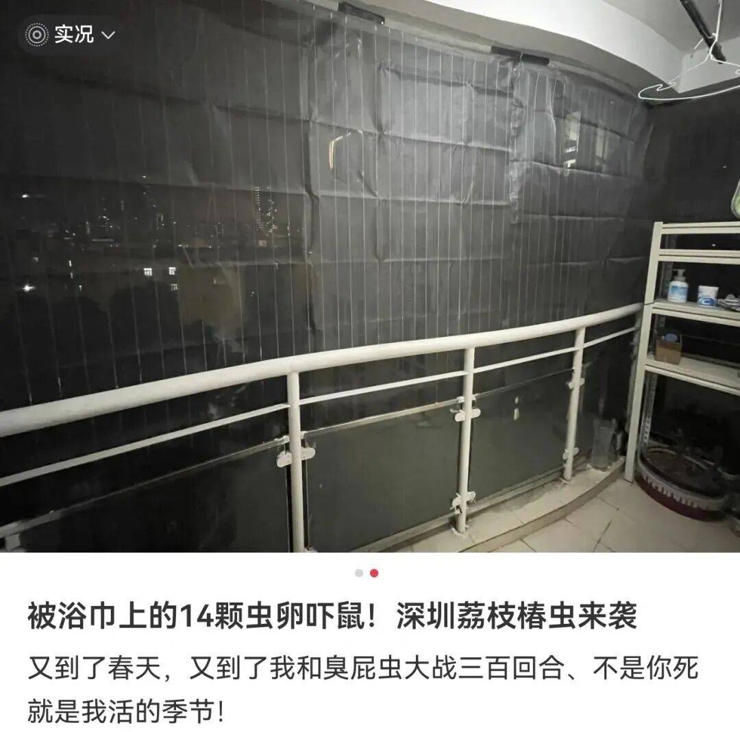 男子一觉醒来枕巾长“多肉” ,随手一捏吓得把枕巾丢了