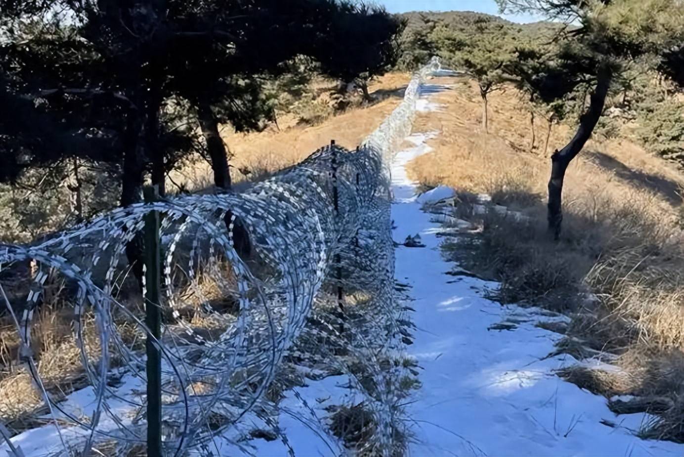 山东泰山景区“回应”避重就轻，锋利“刀片网”到底割断了什么？